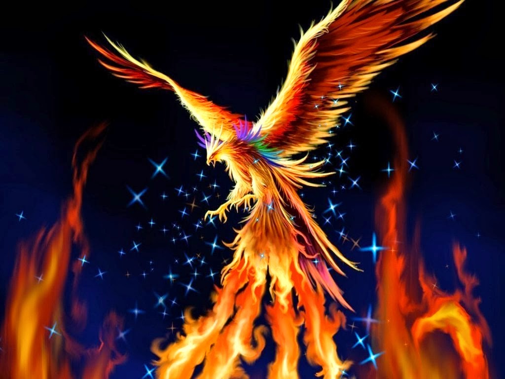 Ave Fenix